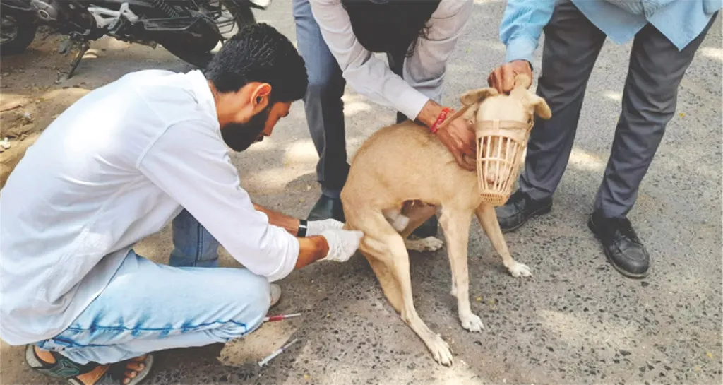 Always Care ambulance on a rescue mission